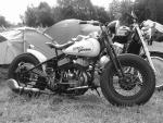 birrfeld07-001.jpg