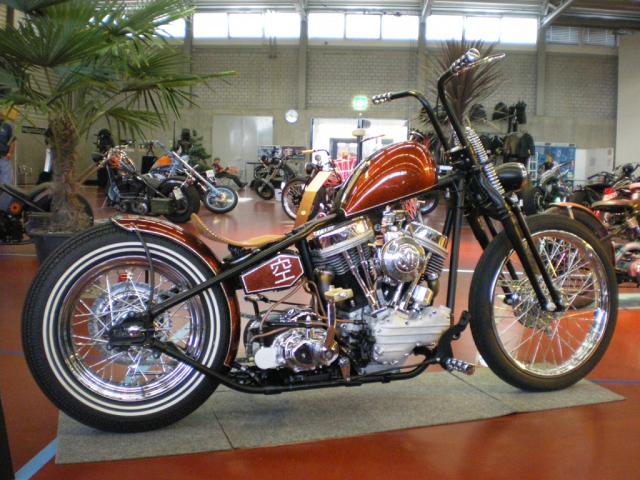 Zermi Bike