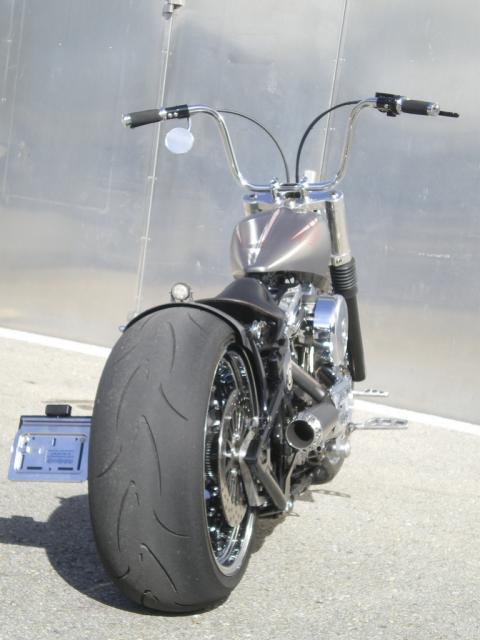 evo gris 008