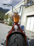 PM controle / Nash 10" smart gump handle bar / swenchoppers sissy bar